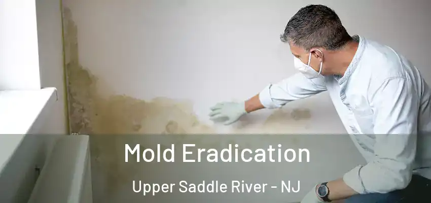 Mold Eradication Upper Saddle River - NJ
