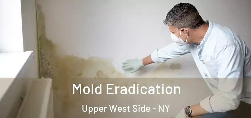 Mold Eradication Upper West Side - NY
