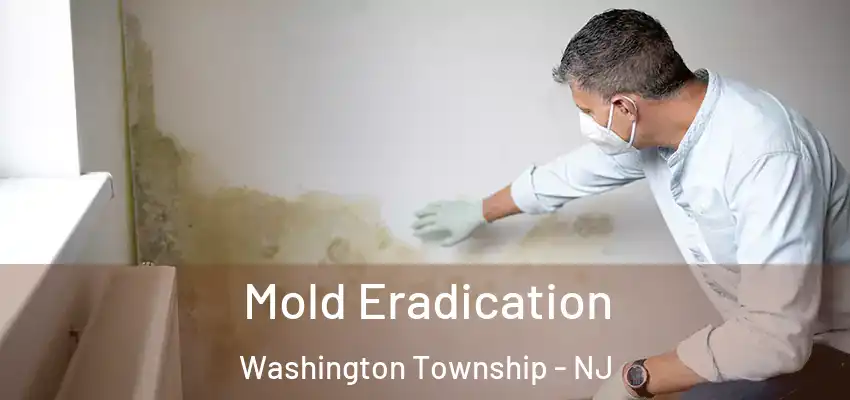 Mold Eradication Washington Township - NJ