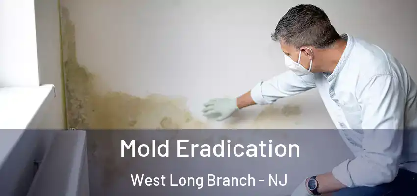 Mold Eradication West Long Branch - NJ