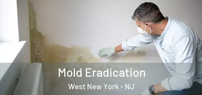  Mold Eradication West New York - NJ