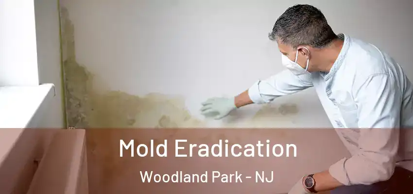 Mold Eradication Woodland Park - NJ
