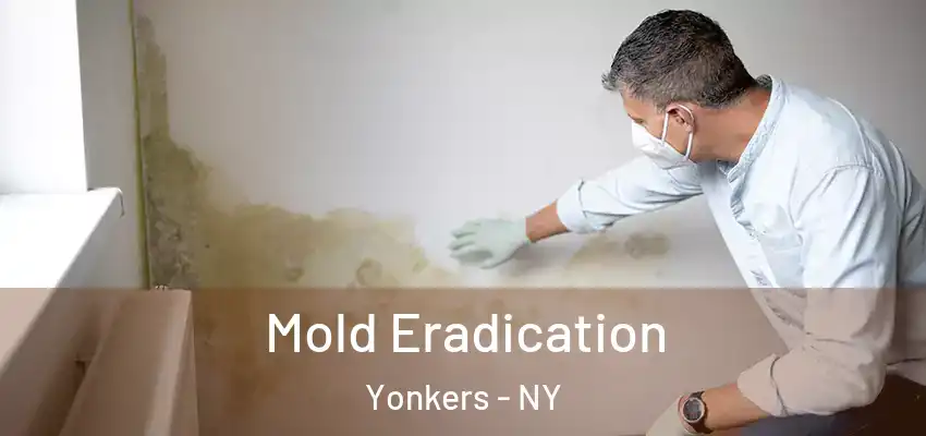 Mold Eradication Yonkers - NY