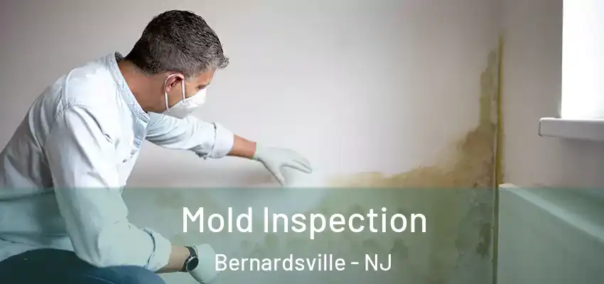  Mold Inspection Bernardsville - NJ