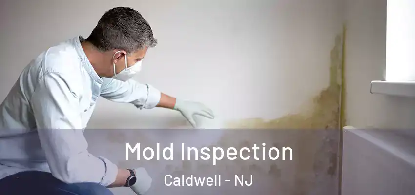 Mold Inspection Caldwell - NJ