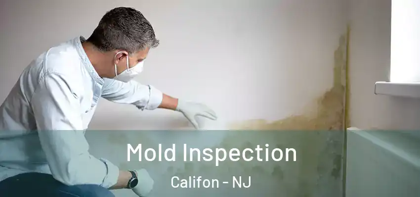 Mold Inspection Califon - NJ
