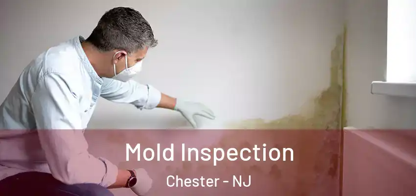  Mold Inspection Chester - NJ