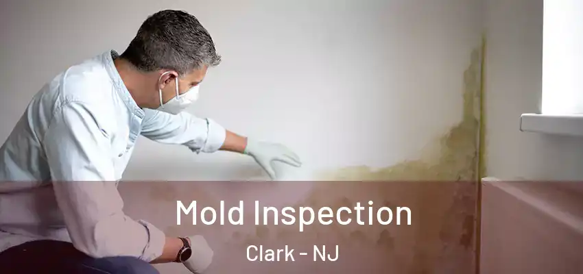 Mold Inspection Clark - NJ