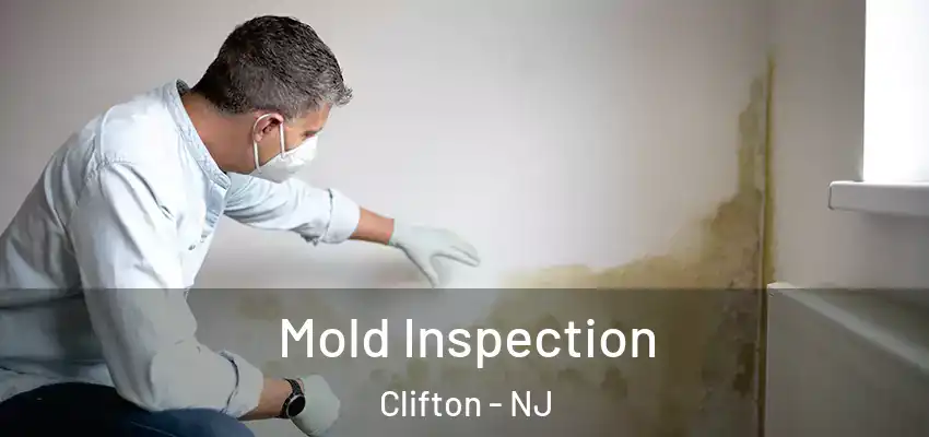 Mold Inspection Clifton - NJ