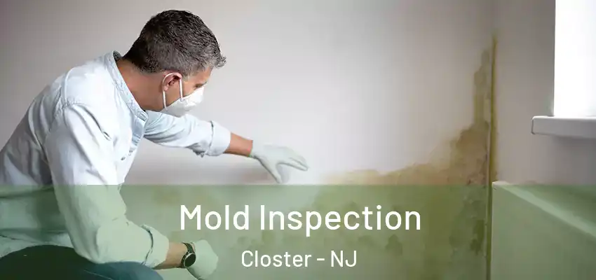  Mold Inspection Closter - NJ