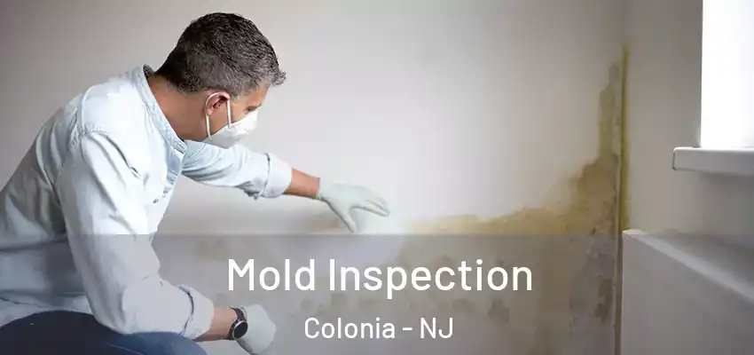 Mold Inspection Colonia - NJ