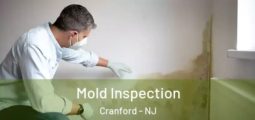 Mold Inspection Cranford - NJ
