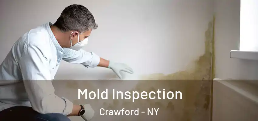  Mold Inspection Crawford - NY