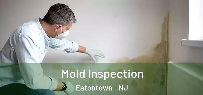  Mold Inspection Eatontown - NJ