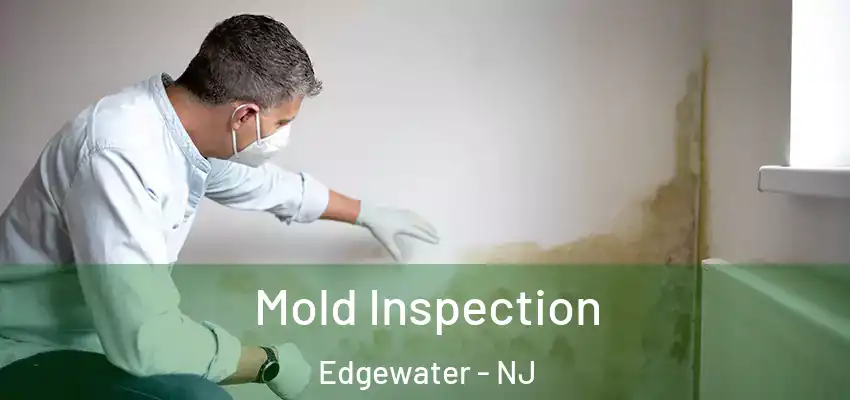 Mold Inspection Edgewater - NJ