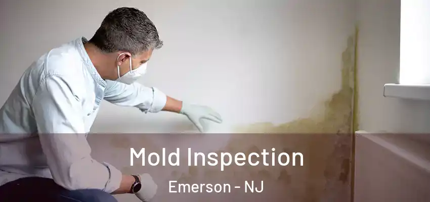  Mold Inspection Emerson - NJ