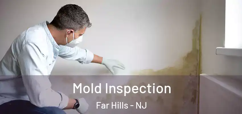 Mold Inspection Far Hills - NJ