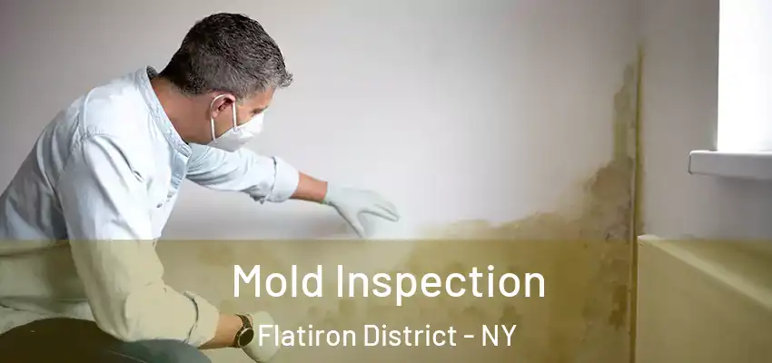  Mold Inspection Flatiron District - NY