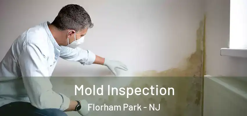  Mold Inspection Florham Park - NJ