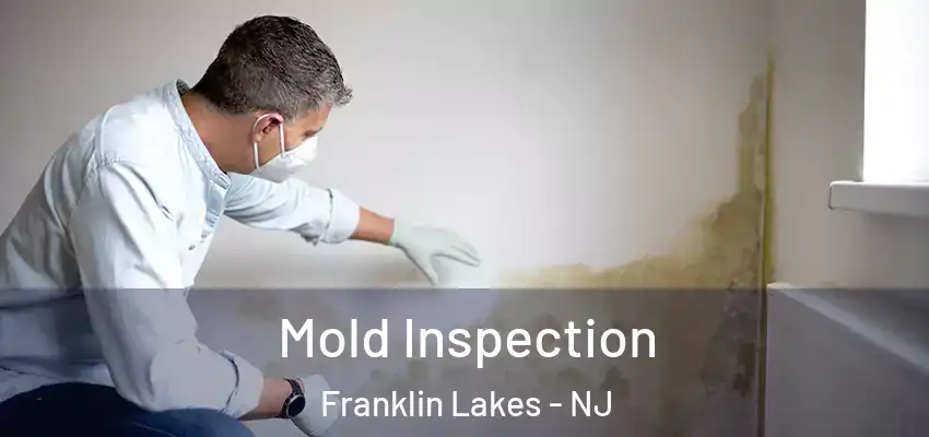 Mold Inspection Franklin Lakes - NJ
