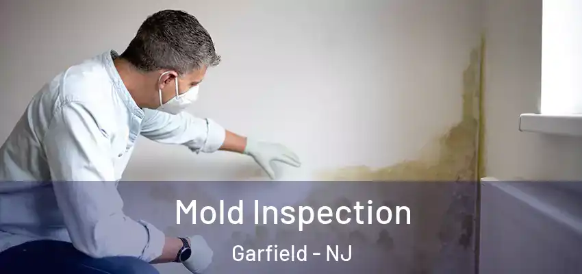 Mold Inspection Garfield - NJ