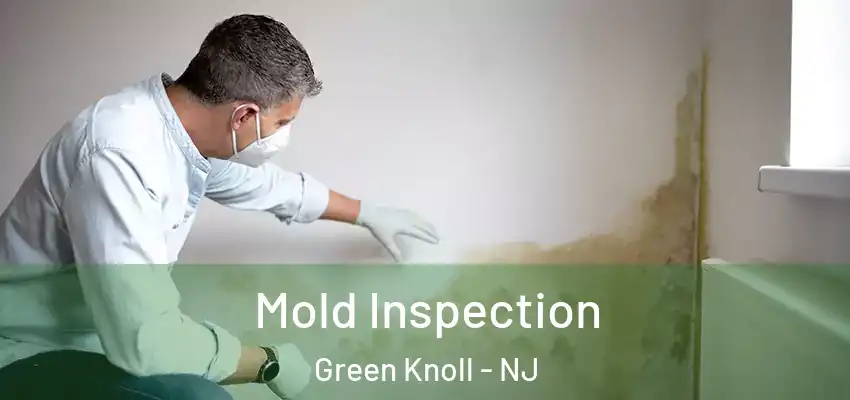  Mold Inspection Green Knoll - NJ