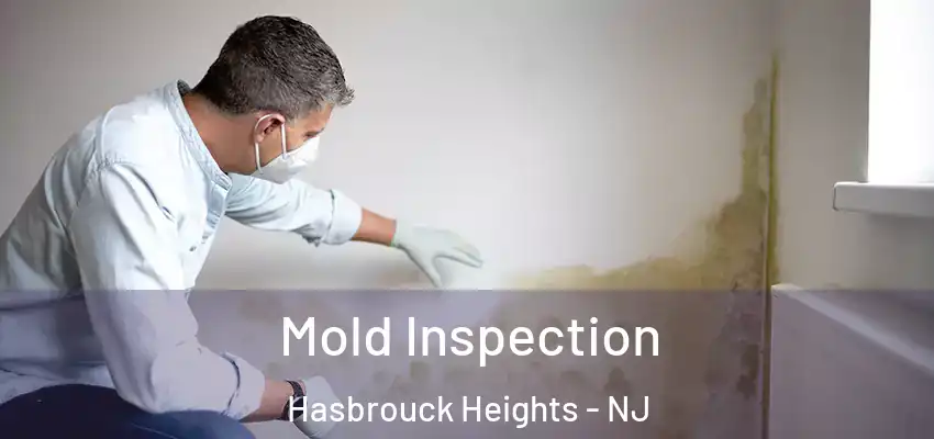 Mold Inspection Hasbrouck Heights - NJ