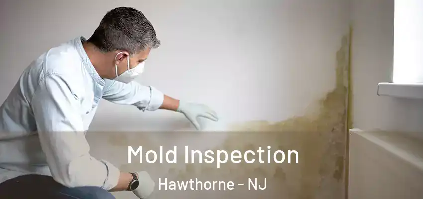 Mold Inspection Hawthorne - NJ