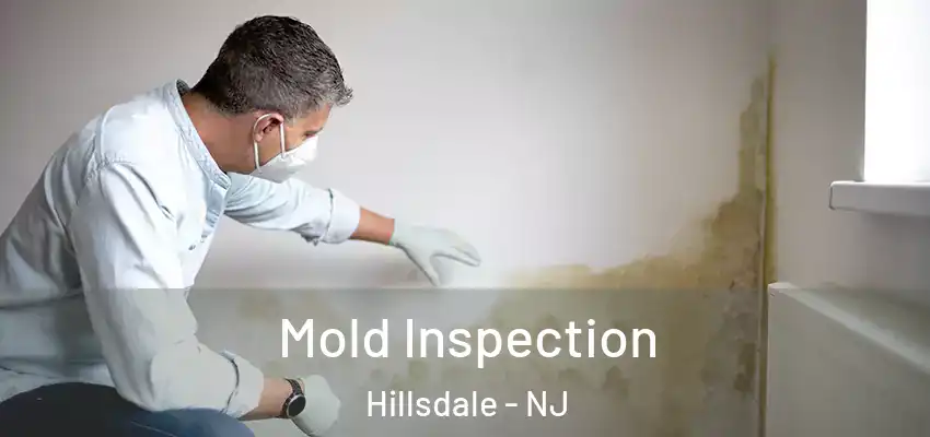 Mold Inspection Hillsdale - NJ