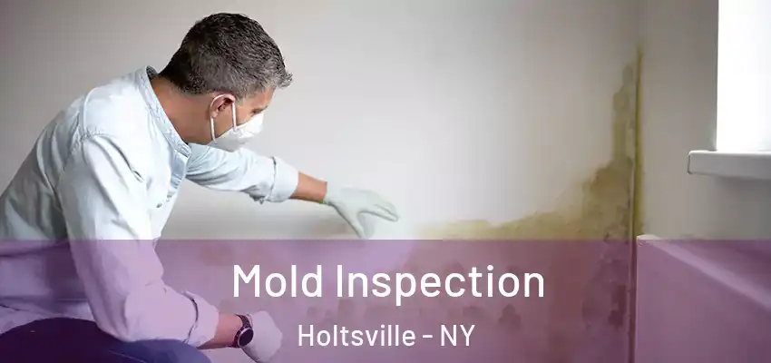  Mold Inspection Holtsville - NY