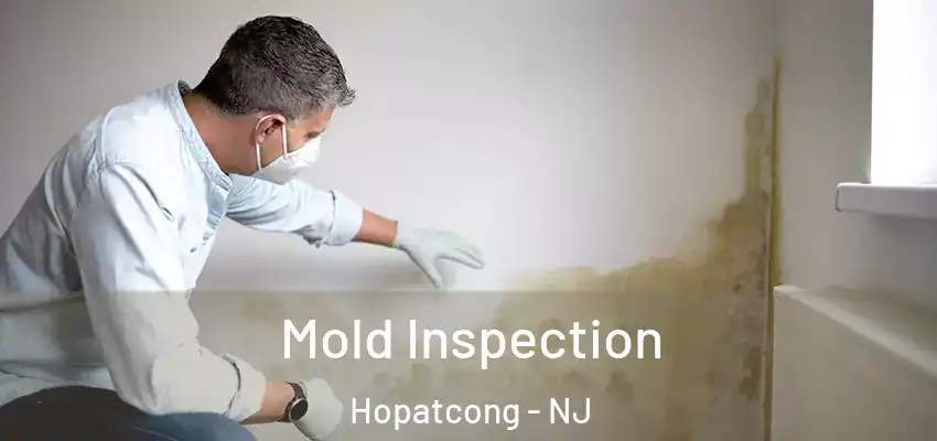 Mold Inspection Hopatcong - NJ