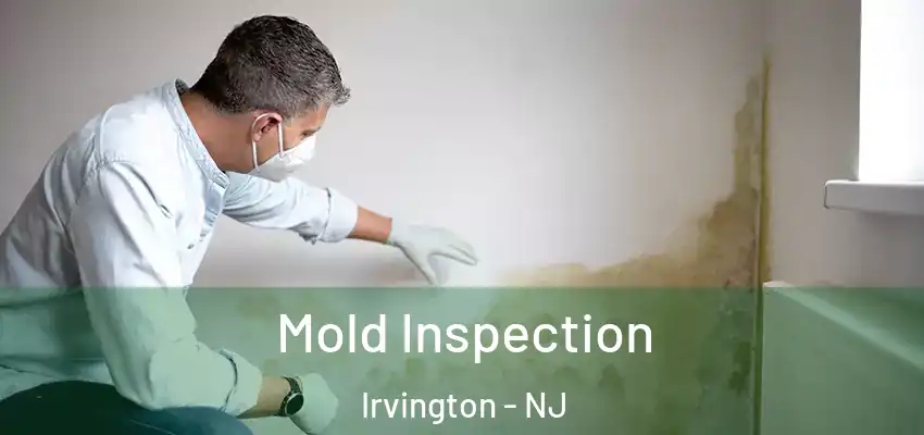 Mold Inspection Irvington - NJ