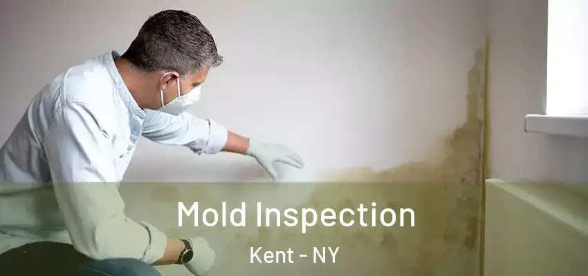  Mold Inspection Kent - NY