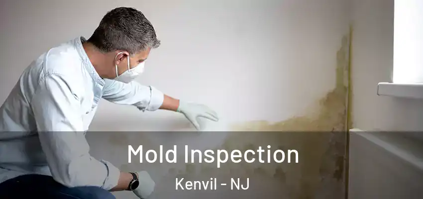  Mold Inspection Kenvil - NJ