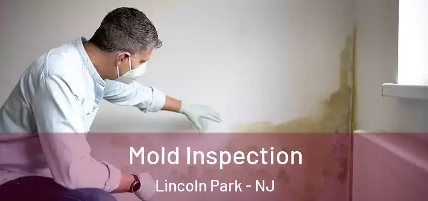  Mold Inspection Lincoln Park - NJ