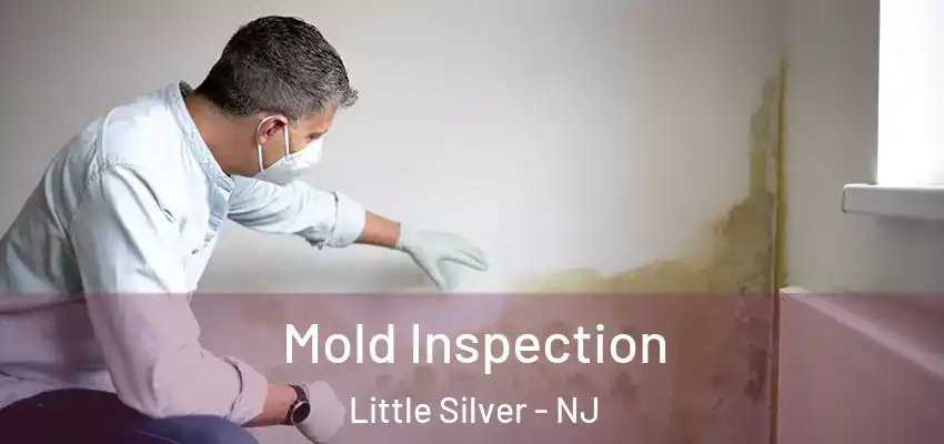 Mold Inspection Little Silver - NJ