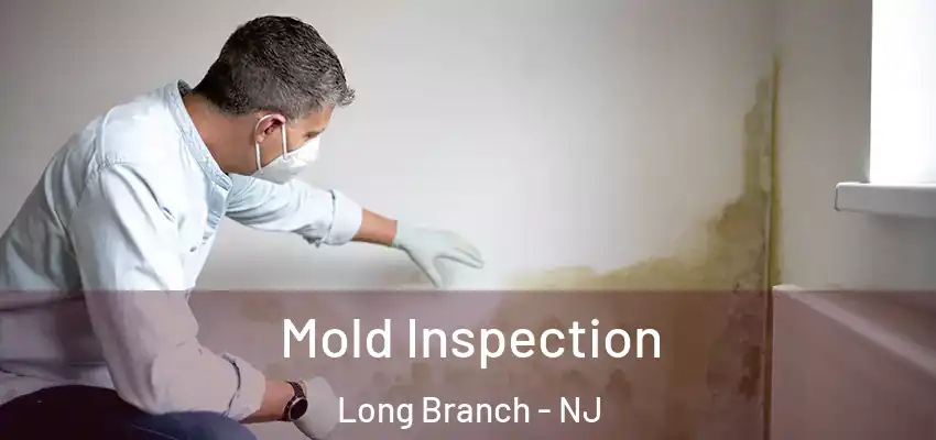 Mold Inspection Long Branch - NJ