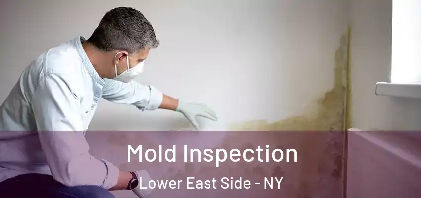 Mold Inspection Lower East Side - NY