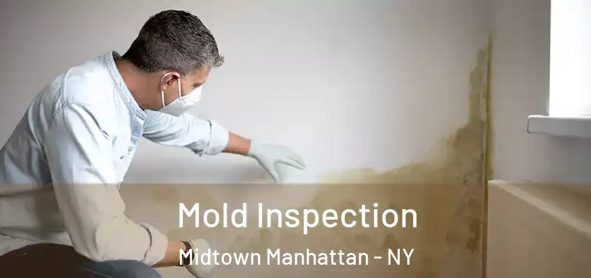 Mold Inspection Midtown Manhattan - NY