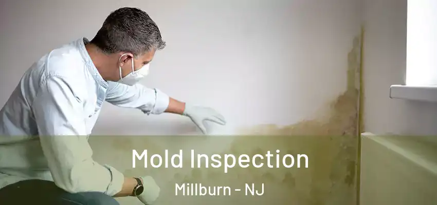 Mold Inspection Millburn - NJ