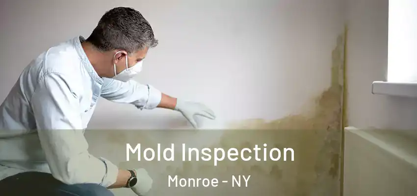 Mold Inspection Monroe - NY