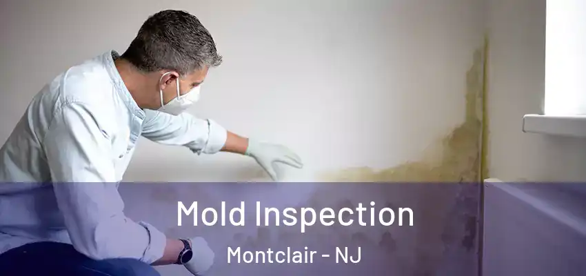 Mold Inspection Montclair - NJ