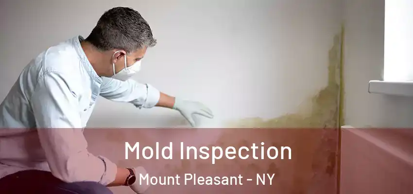 Mold Inspection Mount Pleasant - NY