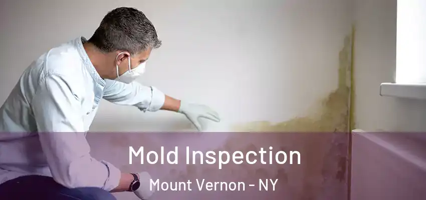  Mold Inspection Mount Vernon - NY