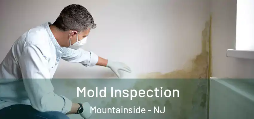  Mold Inspection Mountainside - NJ