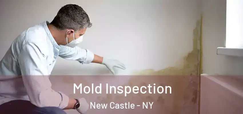  Mold Inspection New Castle - NY