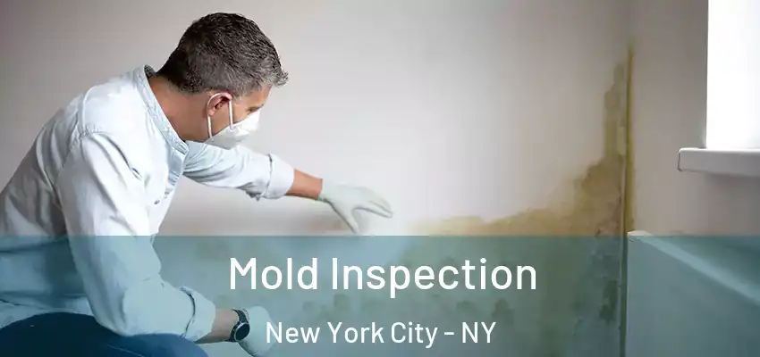 Mold Inspection New York City - NY