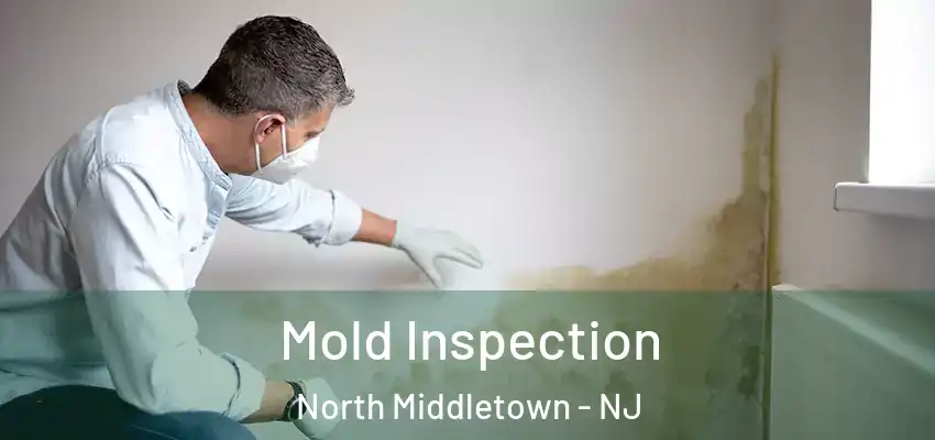  Mold Inspection North Middletown - NJ