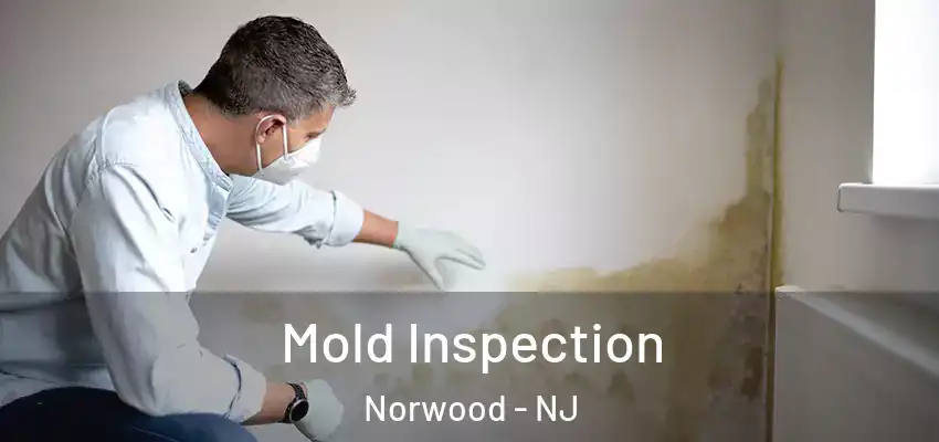  Mold Inspection Norwood - NJ