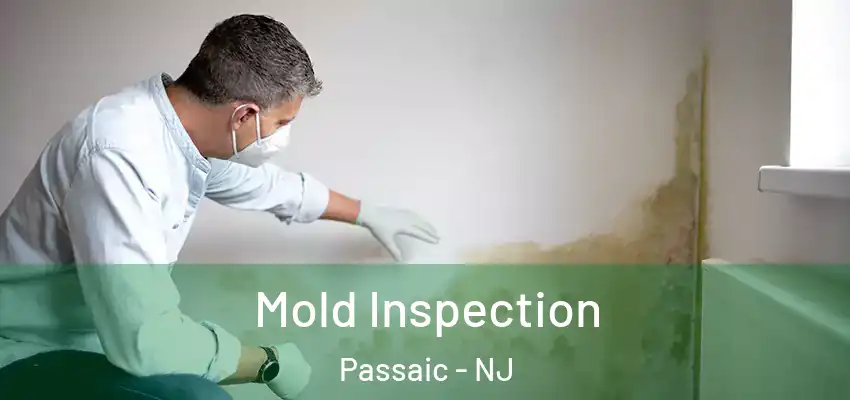  Mold Inspection Passaic - NJ